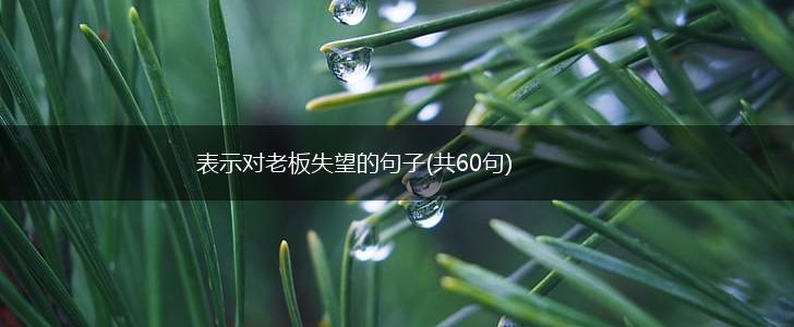表示对老板失望的句子(共60句),第1张