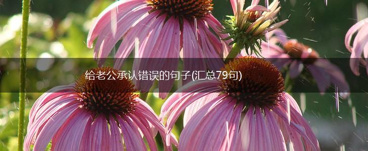 给老公承认错误的句子(汇总79句),第1张 给老公承认错误的句子(汇总79句),第1张