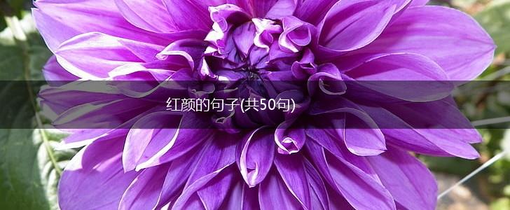红颜的句子(共50句),第1张