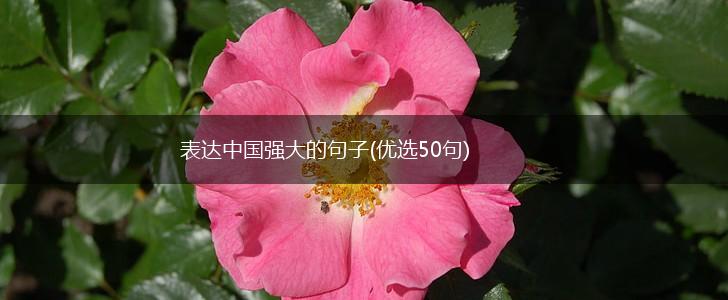 表达中国强大的句子(优选50句),第1张