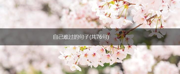 自己难过的句子(共76句),第1张