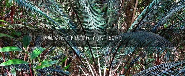 老师爱孩子的优美句子(热门50句),第1张