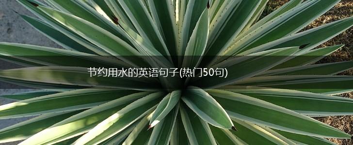 节约用水的英语句子(热门50句),第1张