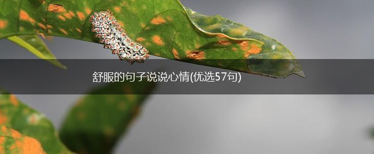 舒服的句子说说心情(优选57句),第1张