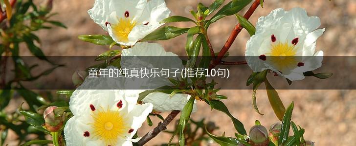 童年的纯真快乐句子(推荐10句),第1张