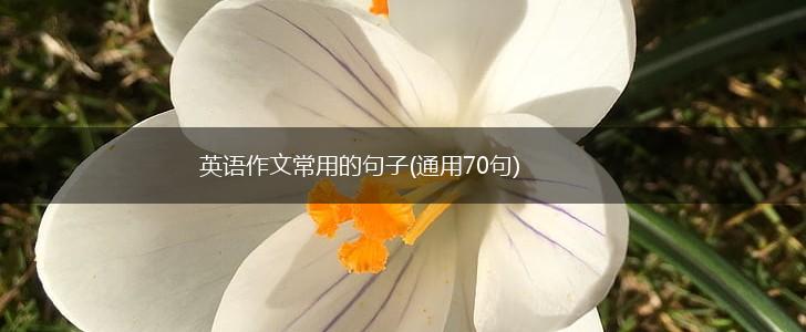英语作文常用的句子(通用70句),第1张