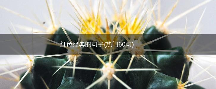 红色经典的句子(热门60句),第1张