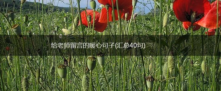 给老师留言的暖心句子(汇总40句),第1张