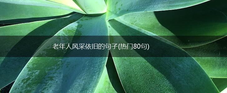 老年人风采依旧的句子(热门80句),第1张