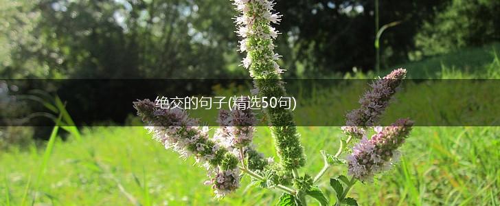 绝交的句子(精选50句),第1张