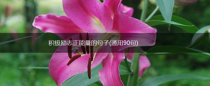 积极励志正能量的句子(通用90句),第1张