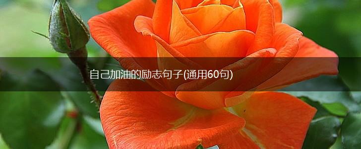 自己加油的励志句子(通用60句),第1张