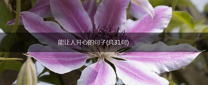 能让人开心的句子(共31句),第1张