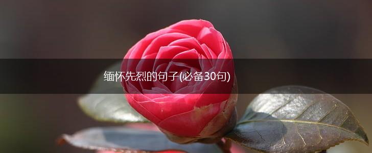 缅怀先烈的句子(必备30句),第1张