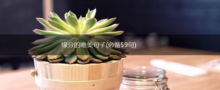 缘分的唯美句子(必备59句),第1张
