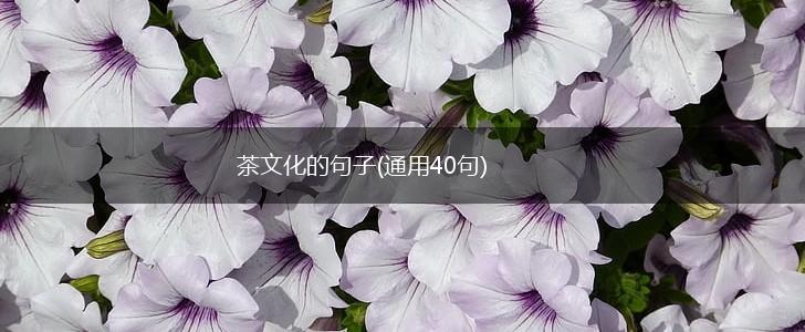 茶文化的句子(通用40句),第1张