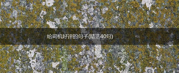 给司机好评的句子(精选40句),第1张