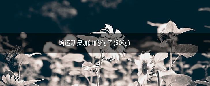 给运动员加油的句子(50句),第1张