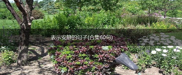 表示安静的句子(合集60句),第1张