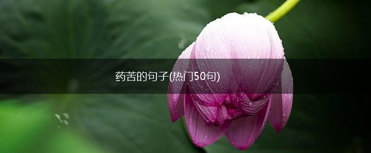 药苦的句子(热门50句),第1张