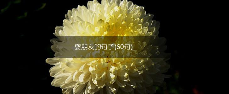 耍朋友的句子(60句),第1张