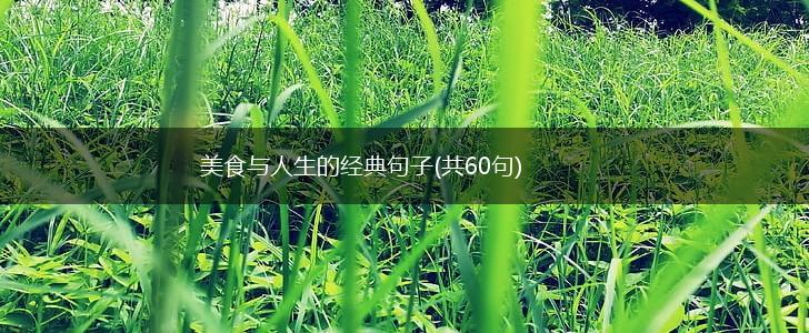 美食与人生的经典句子(共60句),第1张