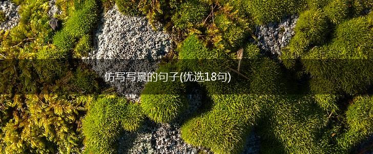 仿写写景的句子(优选18句),第1张