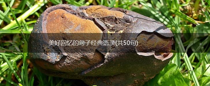 美好回忆的句子经典语录(共50句),第1张