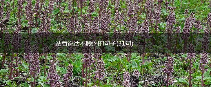 站着说话不腰疼的句子(31句),第1张