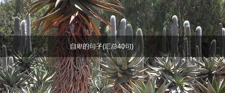 自卑的句子(汇总40句),第1张