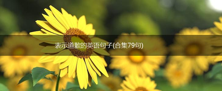 表示道歉的英语句子(合集79句),第1张