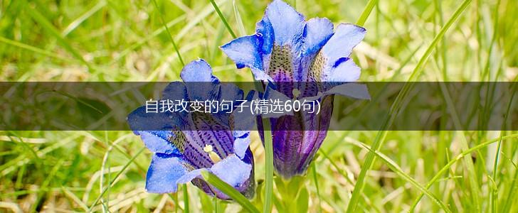 自我改变的句子(精选60句),第1张