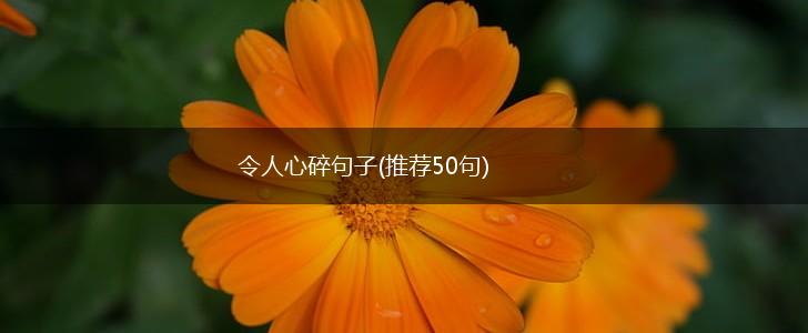 令人心碎句子(推荐50句),第1张