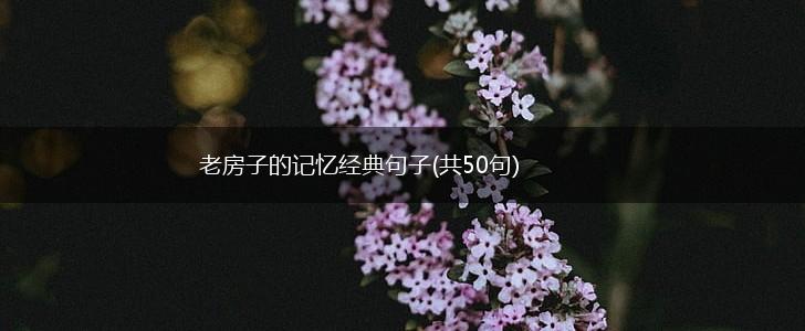 老房子的记忆经典句子(共50句),第1张