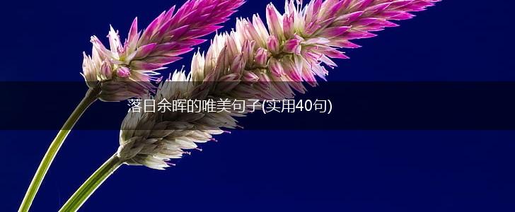 落日余晖的唯美句子(实用40句),第1张
