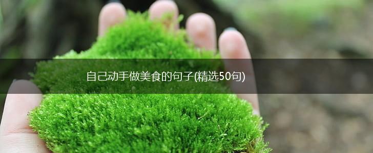 自己动手做美食的句子(精选50句),第1张
