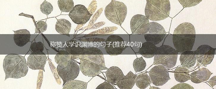 称赞人学识渊博的句子(推荐40句),第1张