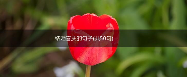 结婚喜庆的句子(共50句),第1张