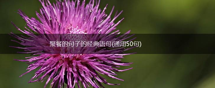 聚餐的句子的经典语句(通用50句),第1张