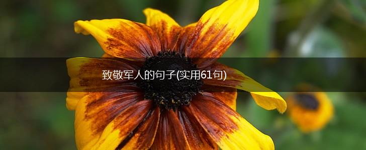 致敬军人的句子(实用61句),第1张