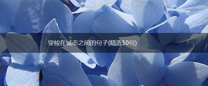 穿梭在城市之间的句子(精选50句),第1张
