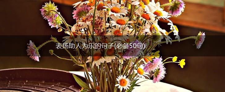 表扬助人为乐的句子(必备50句),第1张