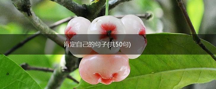 肯定自己的句子(共50句),第1张