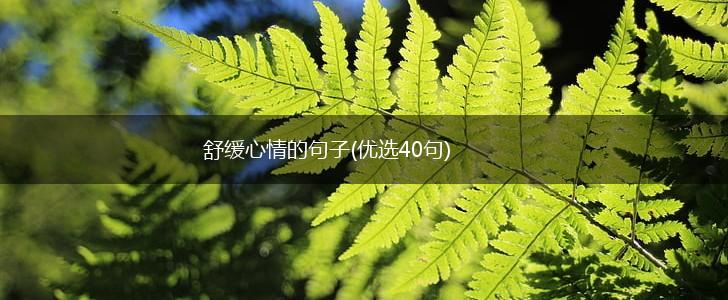 舒缓心情的句子(优选40句),第1张