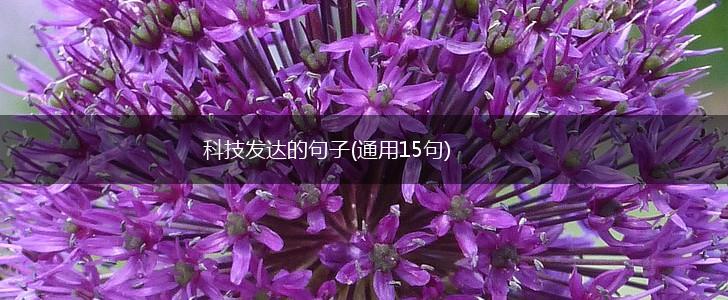 科技发达的句子(通用15句),第1张
