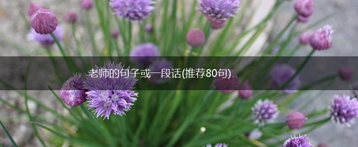 老师的句子或一段话(推荐80句),第1张