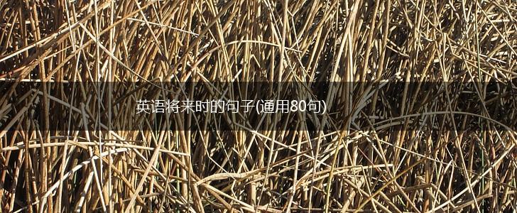 英语将来时的句子(通用80句),第1张