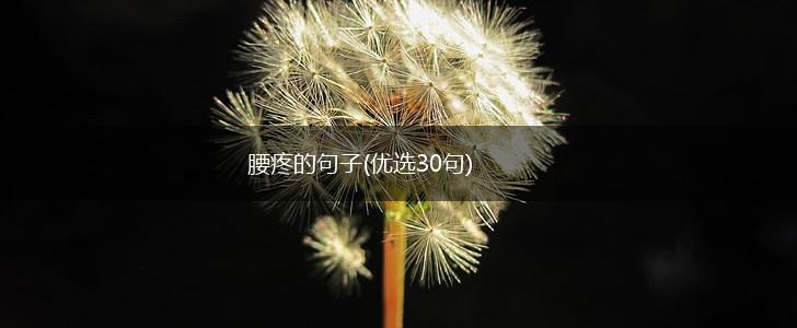 腰疼的句子(优选30句),第1张