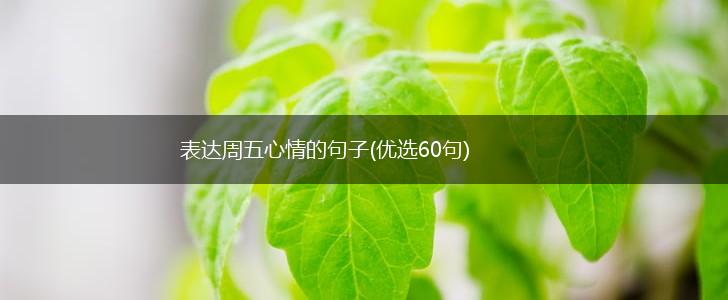 表达周五心情的句子(优选60句),第1张