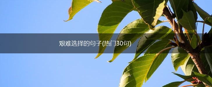 艰难选择的句子(热门30句),第1张